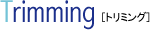 �g���~���O
